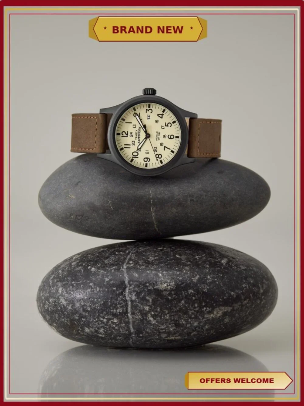 Timex Expedition Field Watch with Brown Strap